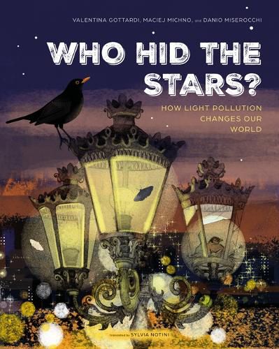 Cover image for Who Hid the Stars?