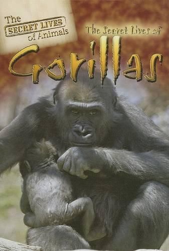 The Secret Lives of Gorillas