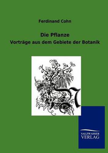 Cover image for Die Pflanze