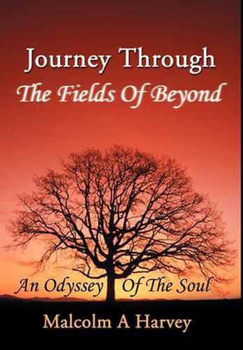 Cover image for Journey Through the Fields of Beyond: An Odyssey of the Soul