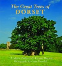 Cover image for The Great Trees of Dorset