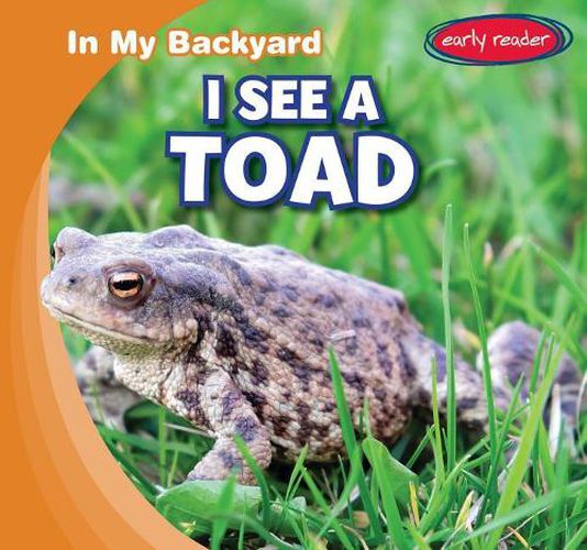 Cover image for I See a Toad