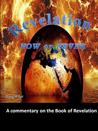 Cover image for Revelation Now Or Never