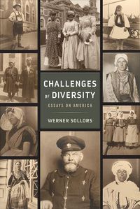 Cover image for Challenges of Diversity: Essays on America