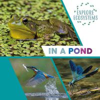 Cover image for Explore Ecosystems: In a Pond