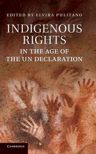 Cover image for Indigenous Rights in the Age of the UN Declaration