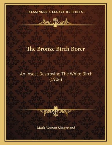 Cover image for The Bronze Birch Borer: An Insect Destroying the White Birch (1906)