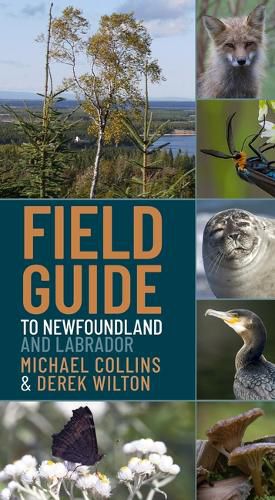 Cover image for Field Guide to Newfoundland and Labrador