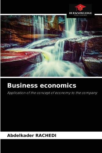 Cover image for Business economics