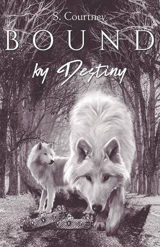 Cover image for Bound by Destiny