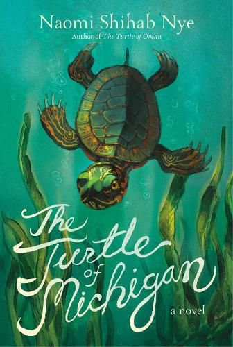 Cover image for The Turtle of Michigan: A Novel