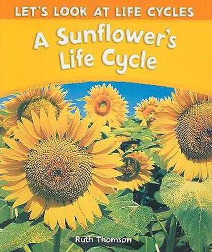 Cover image for A Sunflower's Life Cycle