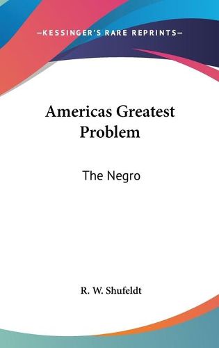 Cover image for Americas Greatest Problem: The Negro