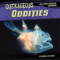 Cover image for Outrageous Oddities