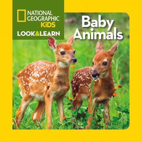 Cover image for Look and Learn: Baby Animals