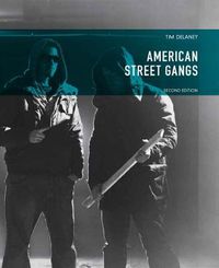 Cover image for American Street Gangs