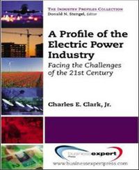 Cover image for A Profile of the Electric Power Industry