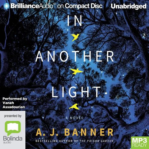 Cover image for In Another Light