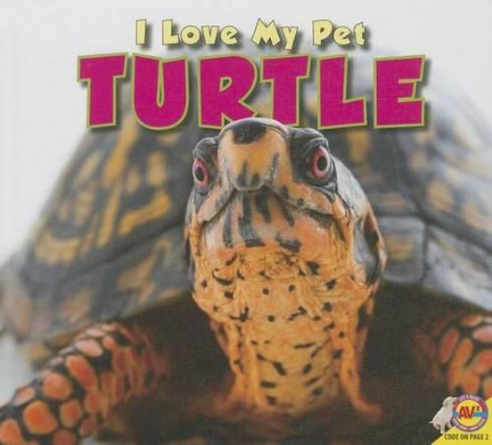 Cover image for Turtle