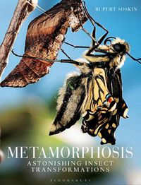 Cover image for Metamorphosis: Astonishing insect transformations