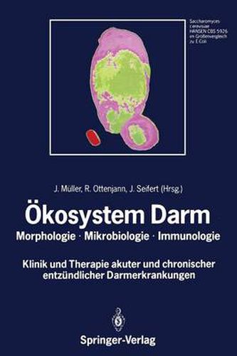 Cover image for Okosystem Darm