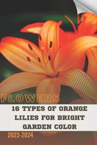 Cover image for 16 Types of Orange Lilies For Bright Garden Color