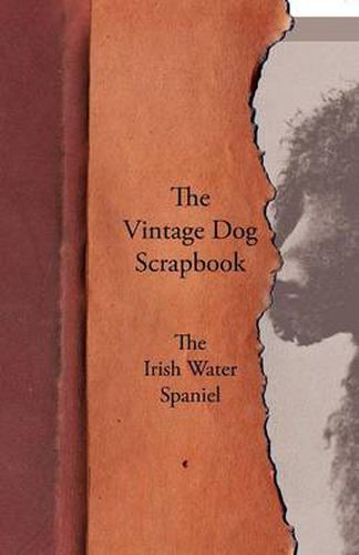 Cover image for The Vintage Dog Scrapbook - The Irish Water Spaniel