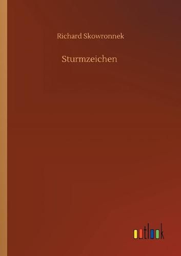 Cover image for Sturmzeichen