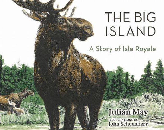 Cover image for The Big Island: A Story of Isle Royale