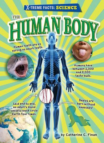 Cover image for The Human Body