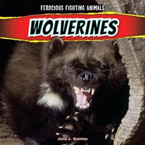 Wolverines