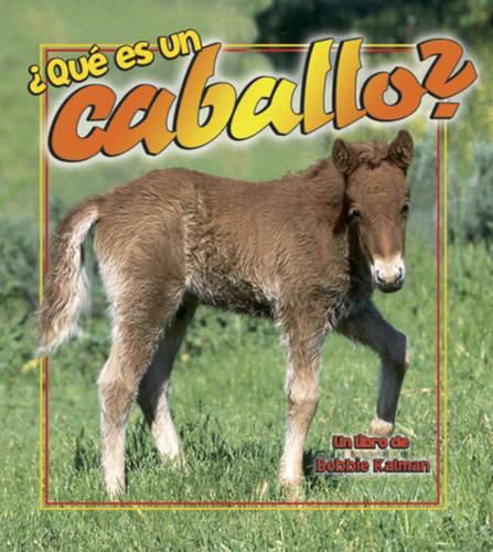 Cover image for Que es un Caballo?