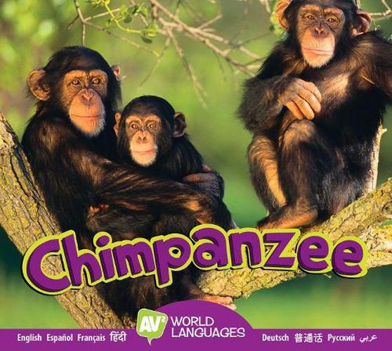 Cover image for Chimpanzee