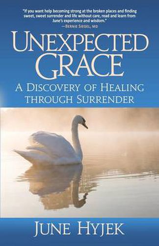 Cover image for Unexpected Grace