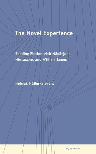 Cover image for The Novel Experience