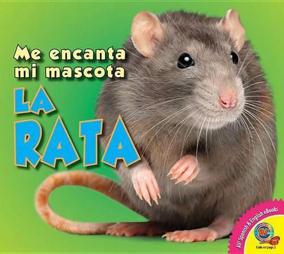 Cover image for La Rata