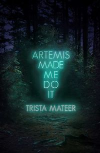 Cover image for Artemis Made Me Do It