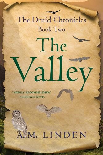 Cover image for The Valley: The Druid Chronicles, Book Two