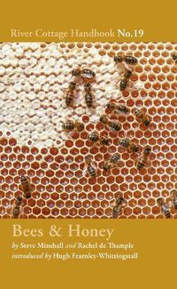 Cover image for Bees & Honey: River Cottage Handbook No.19