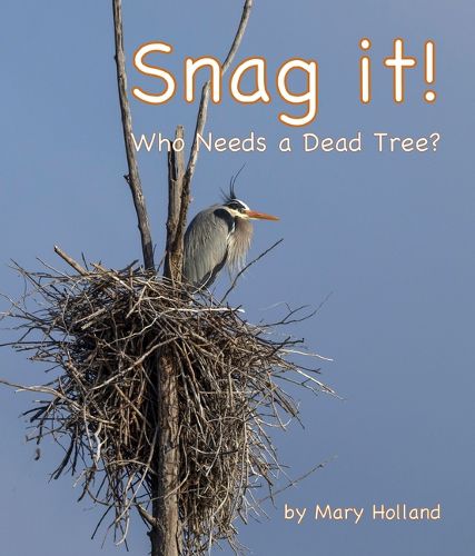 Cover image for Snag It