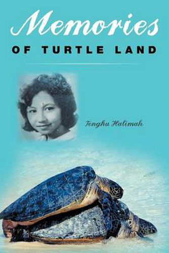 Cover image for Memories of Turtle Land