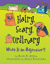 Cover image for Hairy Scary Ordinary: What is an Adjective?