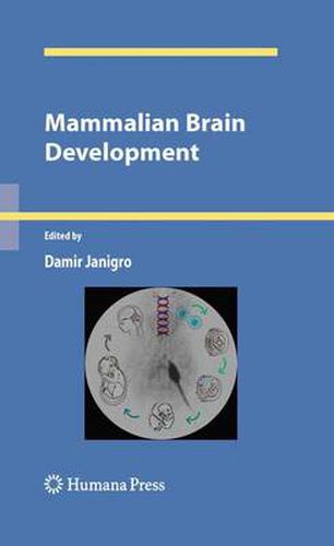 Cover image for Mammalian Brain Development