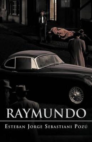Cover image for Raymundo
