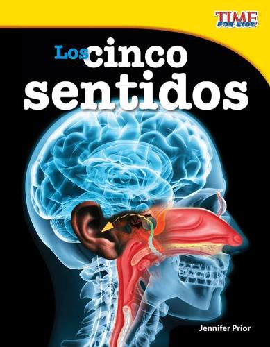 Cover image for Los cinco sentidos (The Five Senses) (Spanish Version)