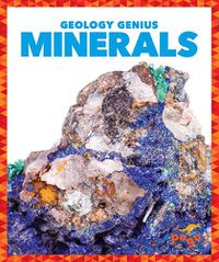 Cover image for Minerals