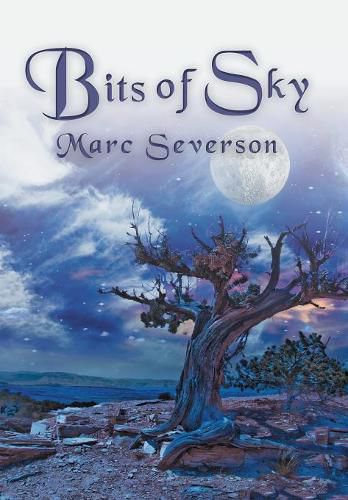 Cover image for Bits of Sky