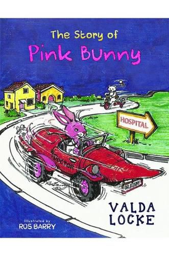 Cover image for The Story of Pink Bunny