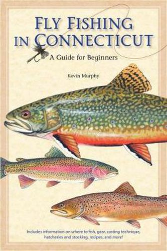 Cover image for Fly Fishing in Connecticut