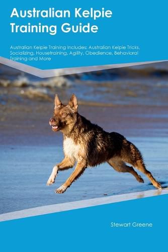 Cover image for Australian Kelpie Training Guide Australian Kelpie Training Includes